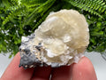 Calcite on Galena Specimen: Borieva Mine, Bulgaria