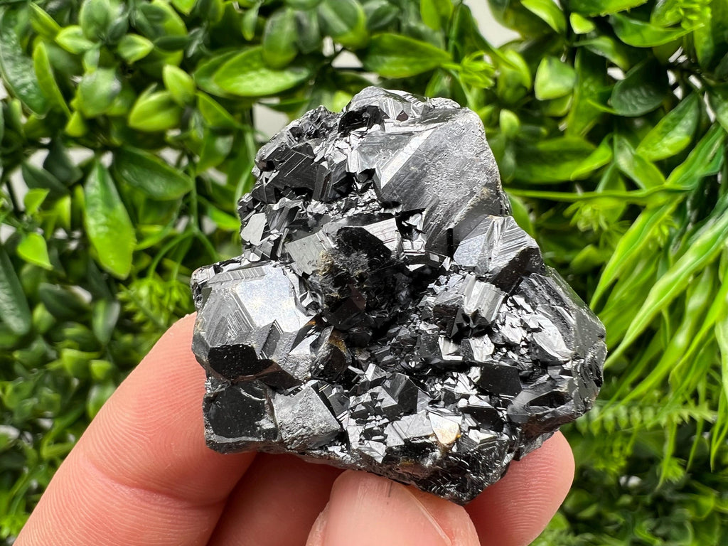 Sphalerite with Chlorite: Borieva Mine, Bulgaria