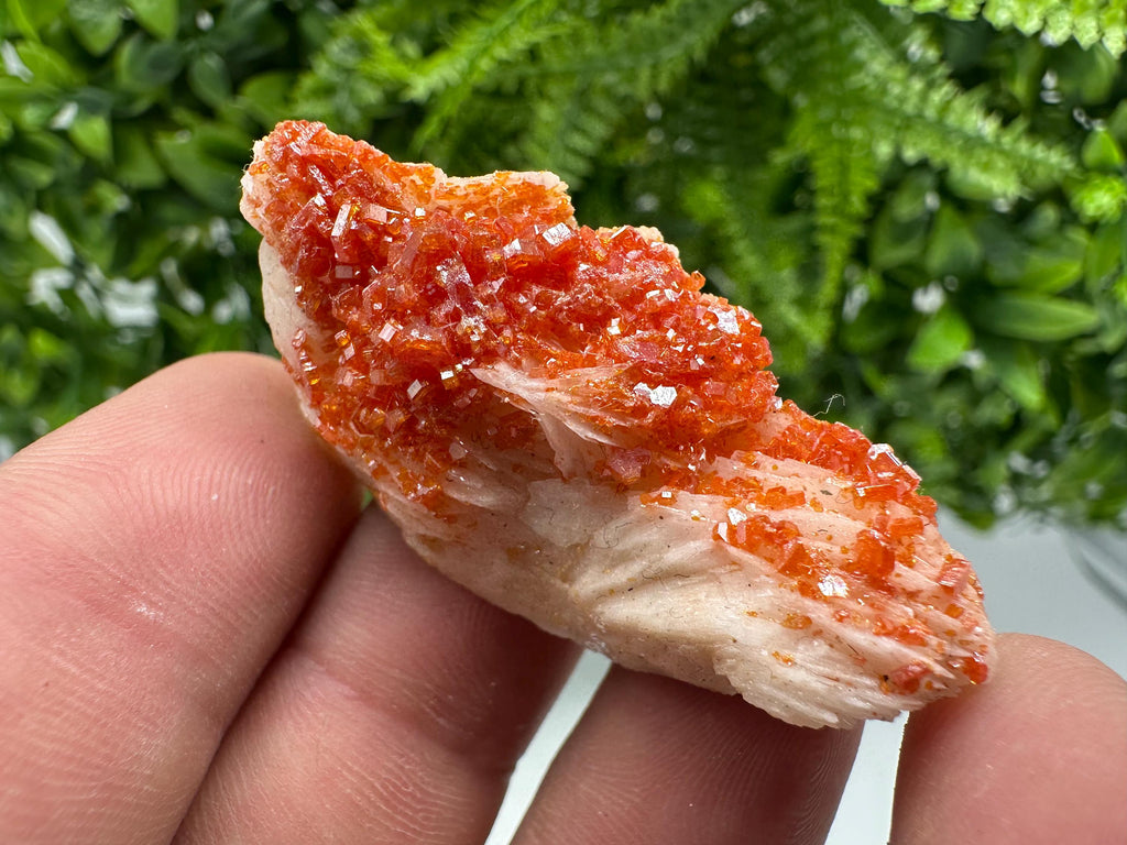 Red Vanadinite on Barite from Marocco,crystal minerals Speciment cluster Vanadinite crystal Vanadinite Geology Vanadinite cluster minerals