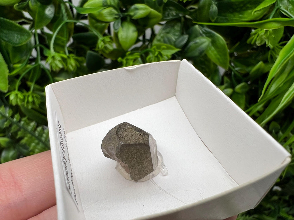 Rare Fedenstock Smoky Quartz Point, Switzerland Mineral Specimen (25MM)