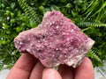 Cobalto Calcite Crystal, Republic of Congo Pink Mineral