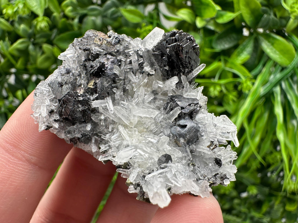 Wonderful Sphalerite Chalcopyrite on  Quartz whit Galena feom 9 th September mine,Bulgaria,natural,collection mineral specimen,gift