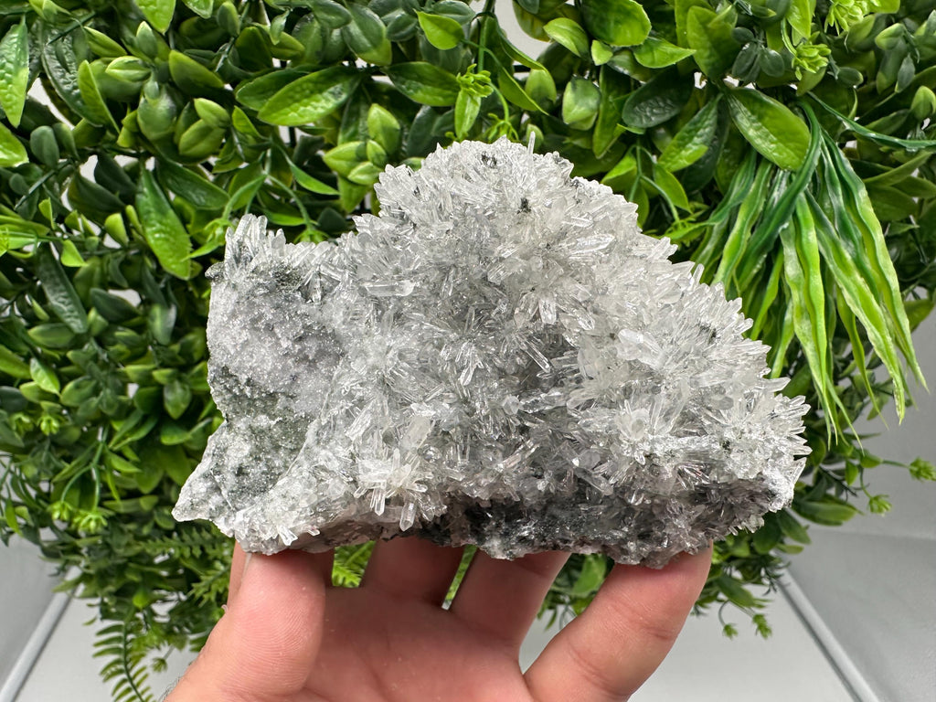Transparent Quartz on Chlorite Matrix, Borieva Mine, Bulgaria