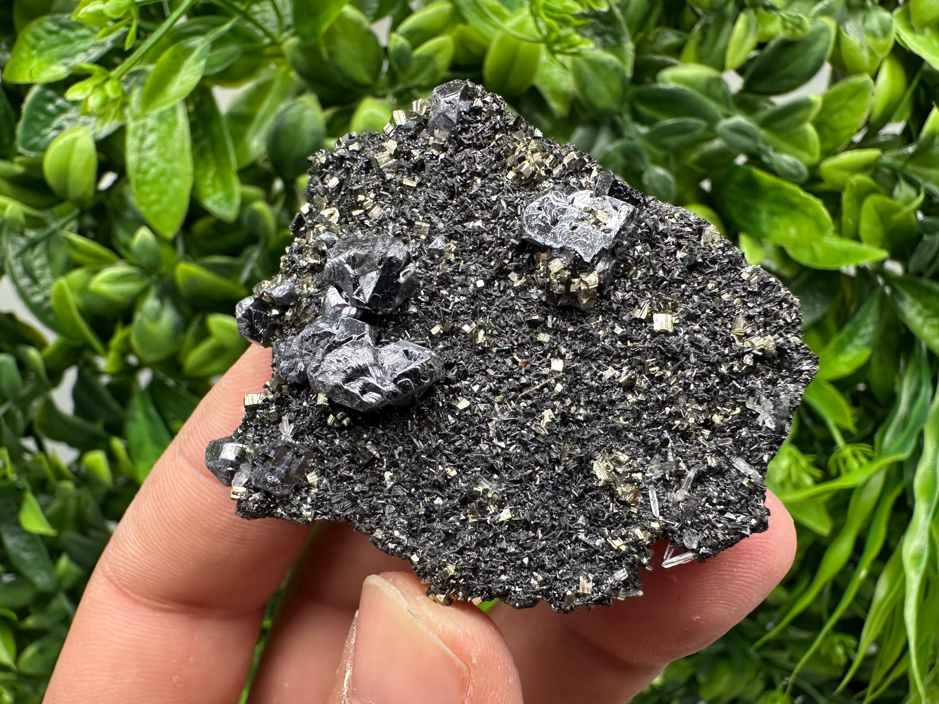 Galena Sphalerite Pyrite Crystal, Borieva Mine, Bulgaria