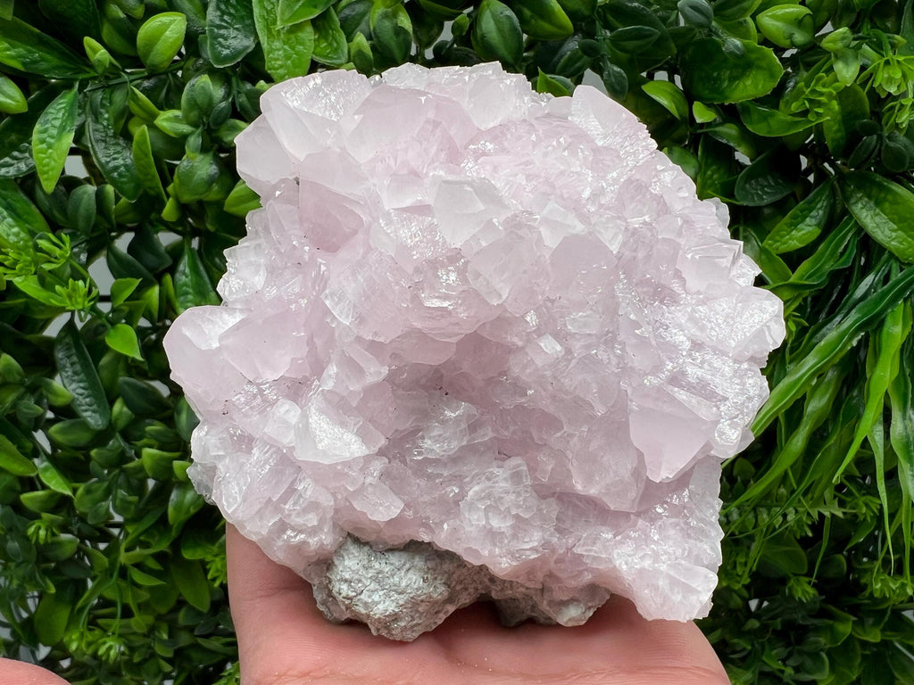 UV Reactive Mangano Calcite Crystal: Androvo Mine Bulgaria