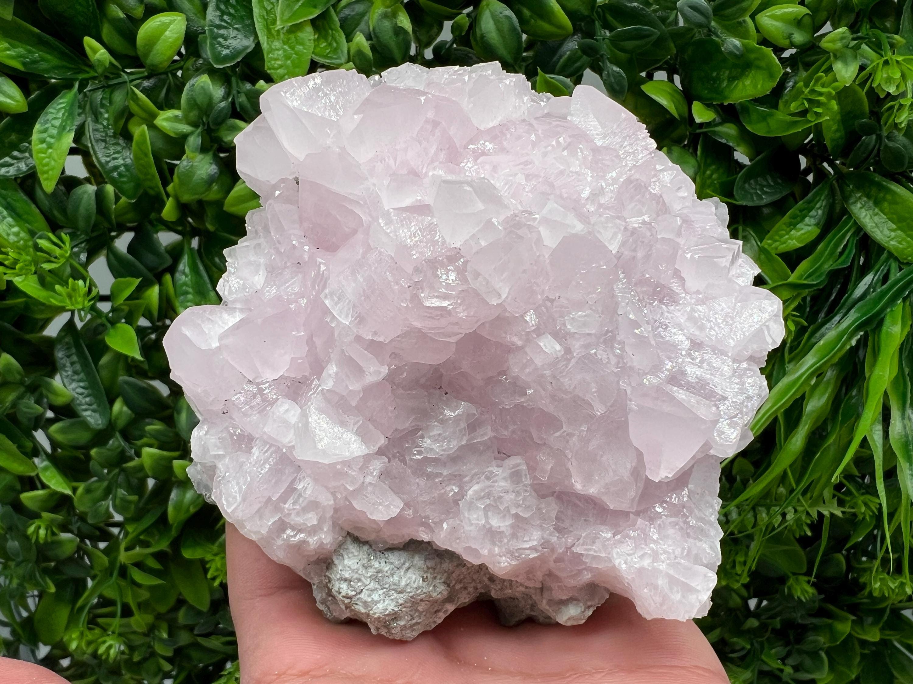 UV Reactive Mangano Calcite Crystal: Androvo Mine Bulgaria