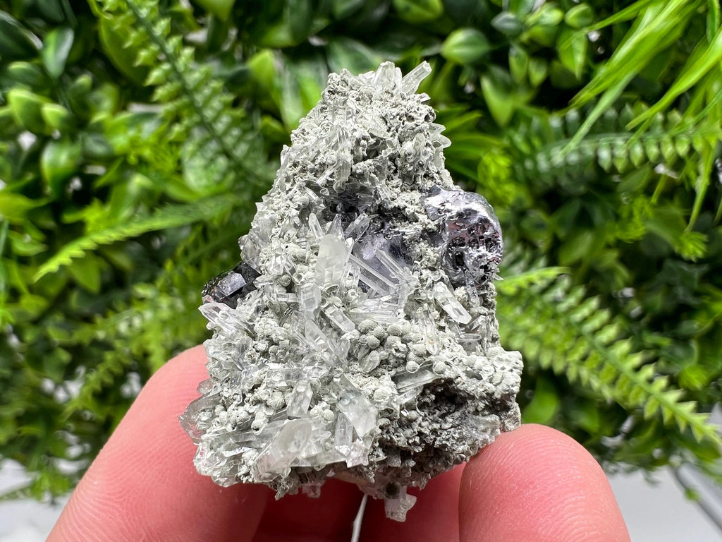 Sphalerite with Chlorite Crystal, Borieva Mine, Bulgaria