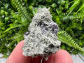 Sphalerite with Chlorite Crystal, Borieva Mine, Bulgaria
