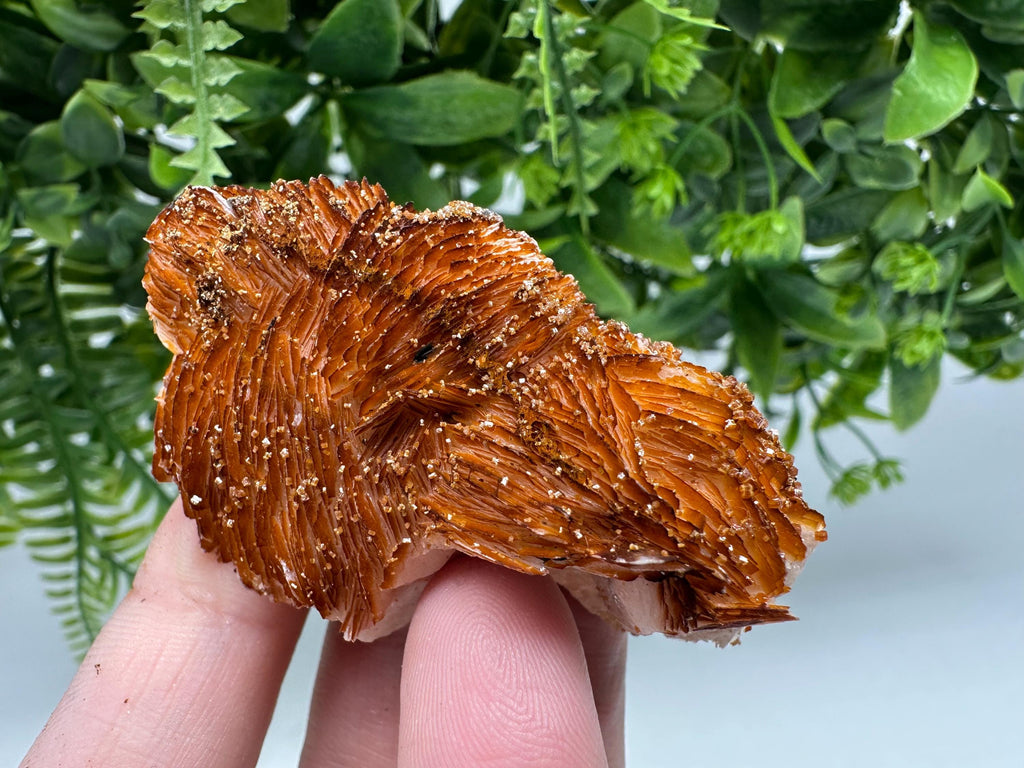 Red Vanadinite Crystal Cluster on Barite Matrix from Morocco