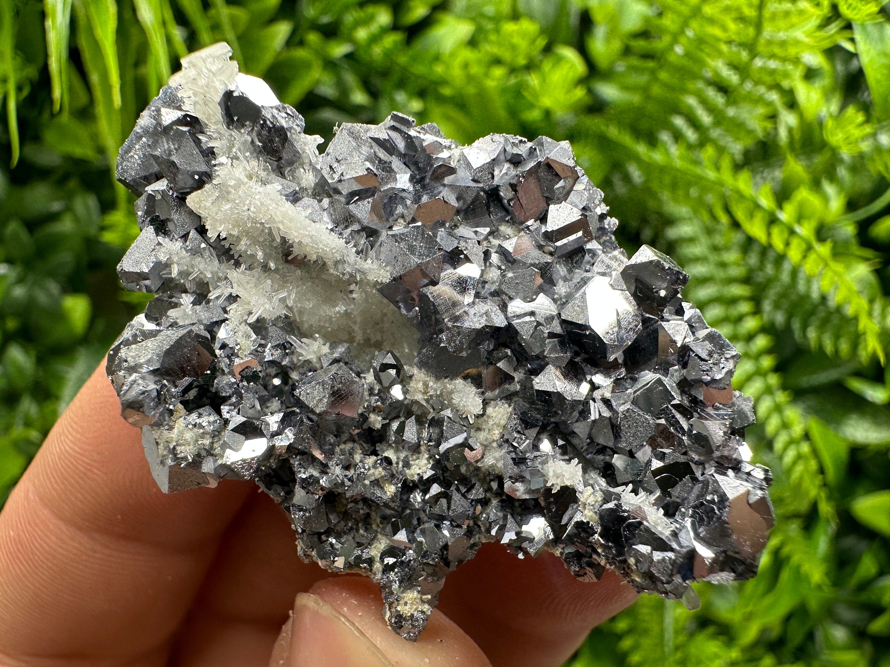Skeletal Galena on Quartz: Natural Mineral Specimen, Borieva Mine