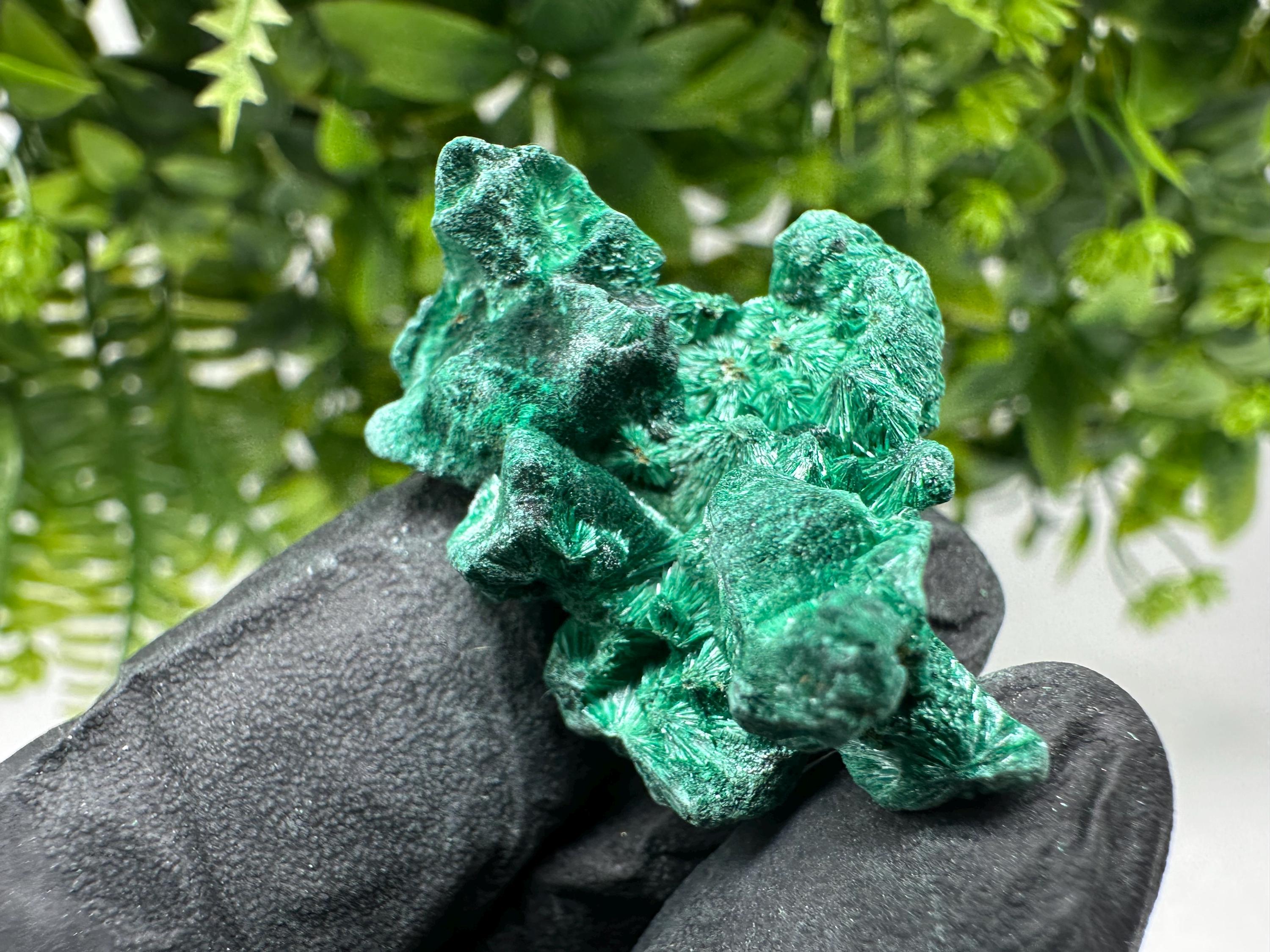 Malachite Crystal from Congo,Minerals,Crystals from Congo,Green Malachite, Malachite,Natural Malachite,Malachite Stone,Chakra, Specimens