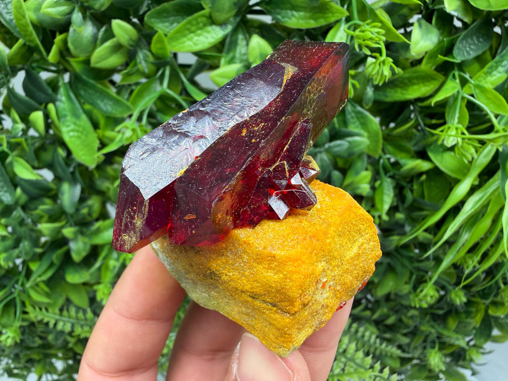 XXL Laboratory Pruskite Ruby Crystal on Matrix
