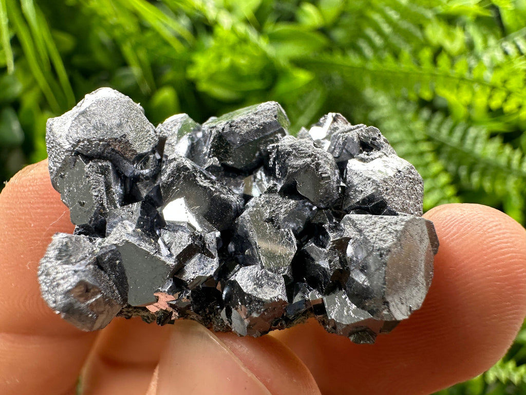 Shiny Galena Cluster: Borieva Mine, Madan, Bulgaria