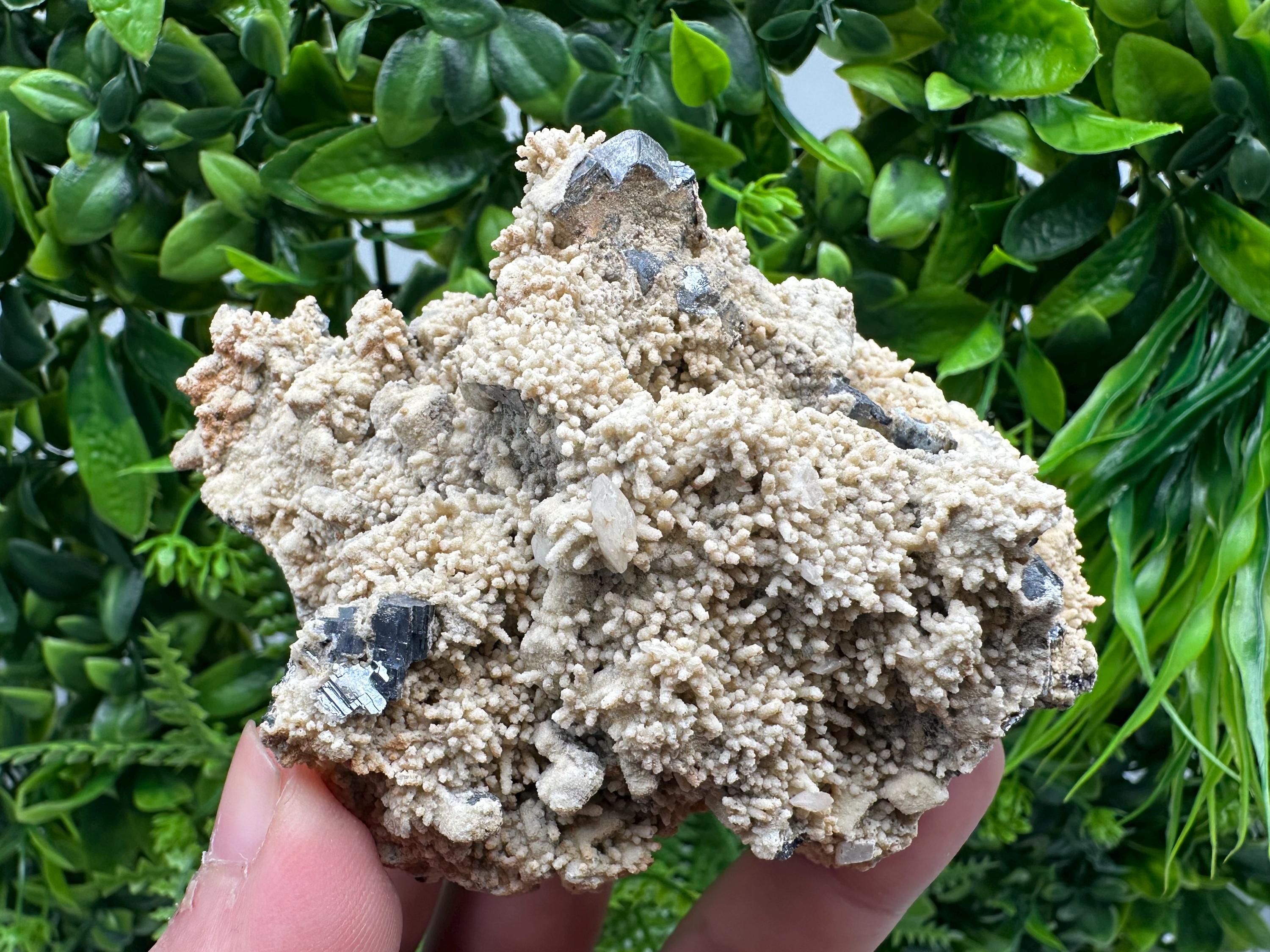 Galena Dolomite Cluster, Krushev dol Bulgaria Mineral Specimen
