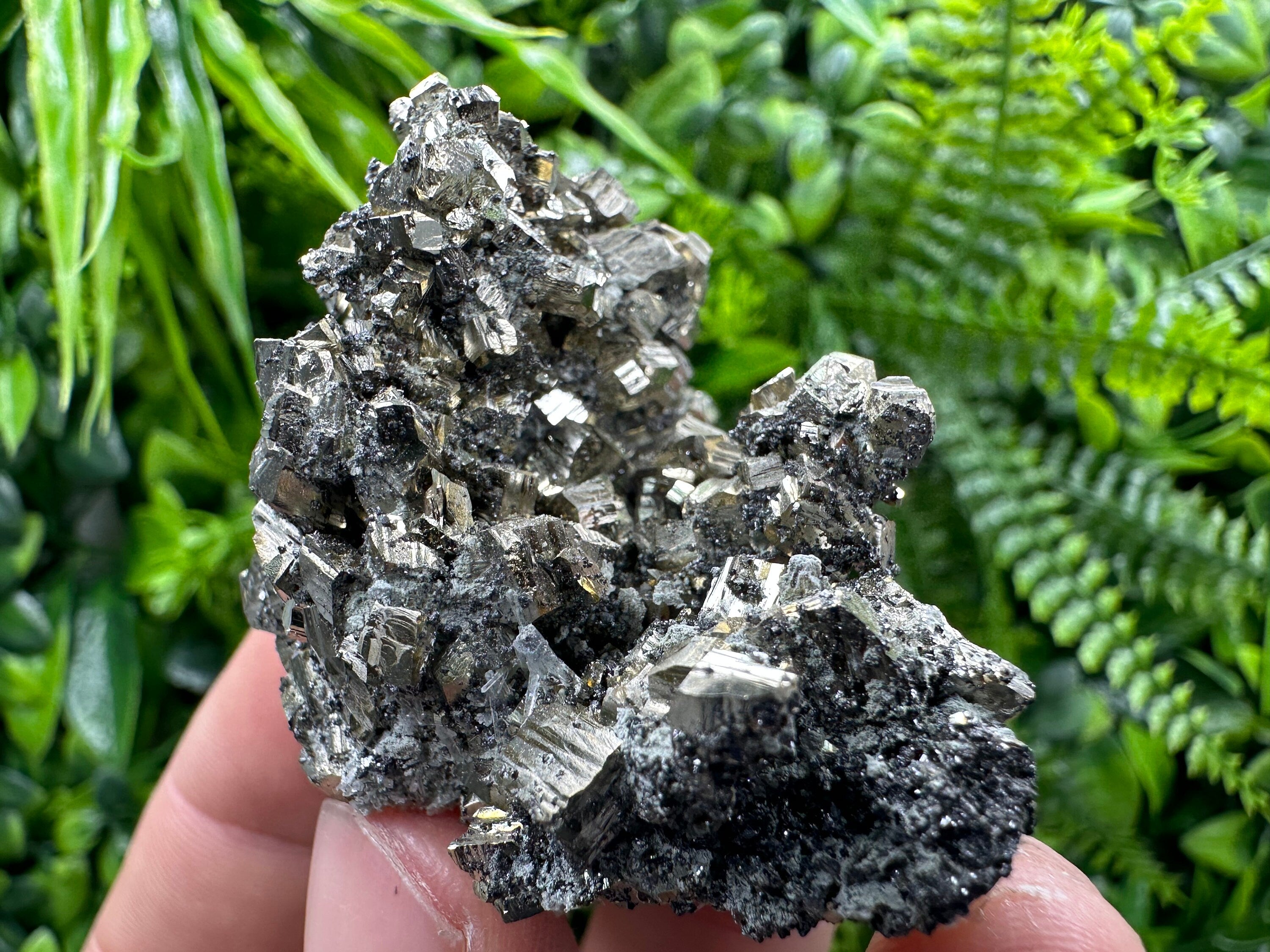 Natural Pyrite Crystal Cluster, September Mine Bulgaria