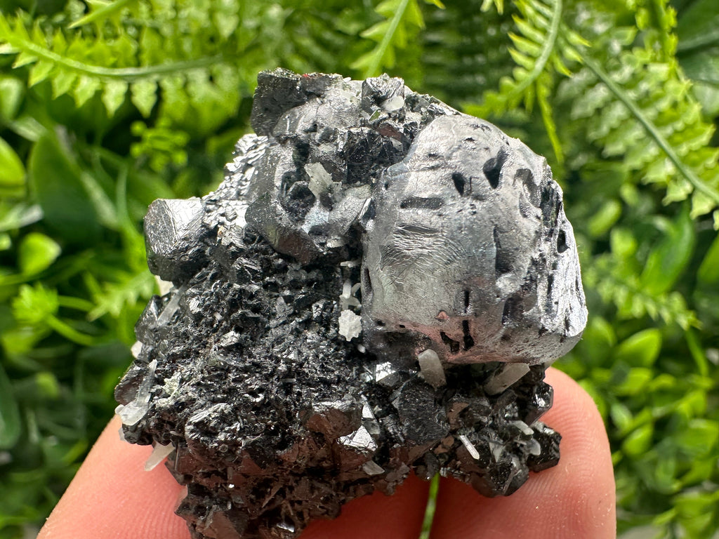Mirror Galena, Calcite, Sphalerite on Quartz with Chlorite, Borieva Bulgaria