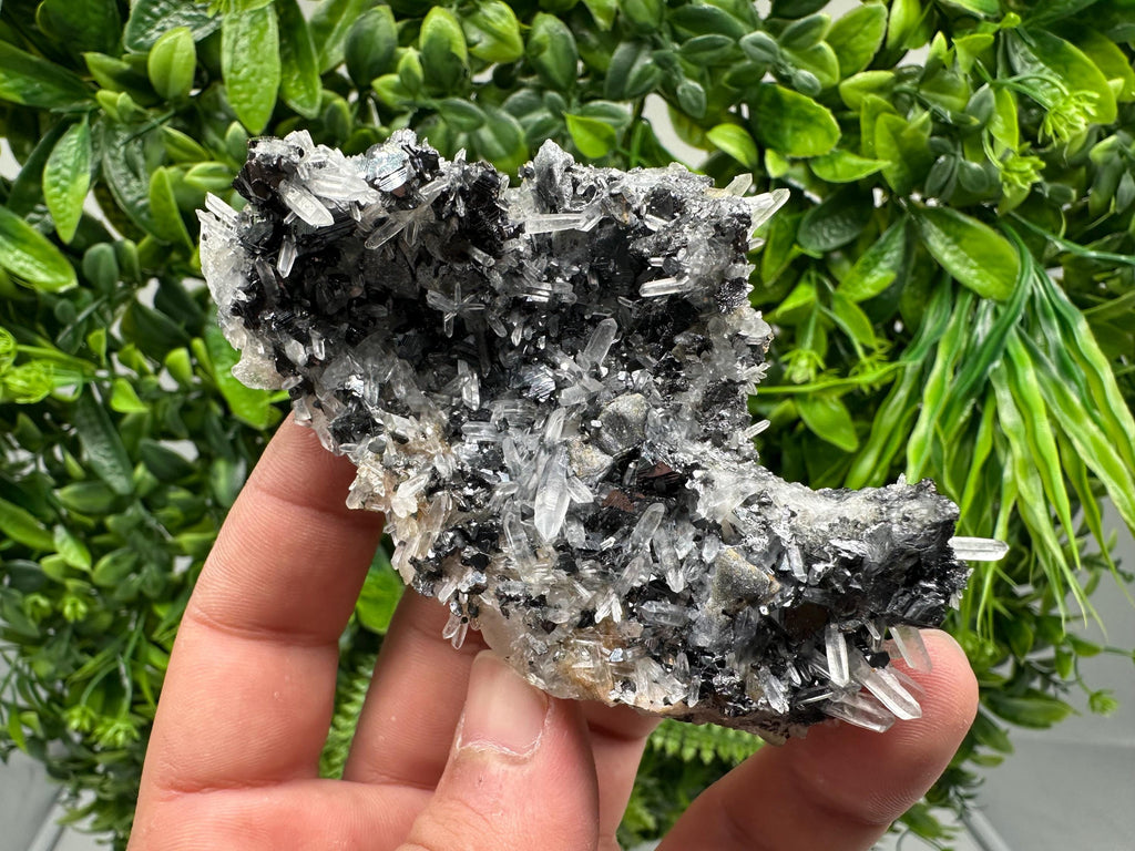 Wonderful Sphalerite Chalcopyrite on  Quartz whit Galena feom 9 th September mine,Bulgaria,natural,collection mineral specimen,gift