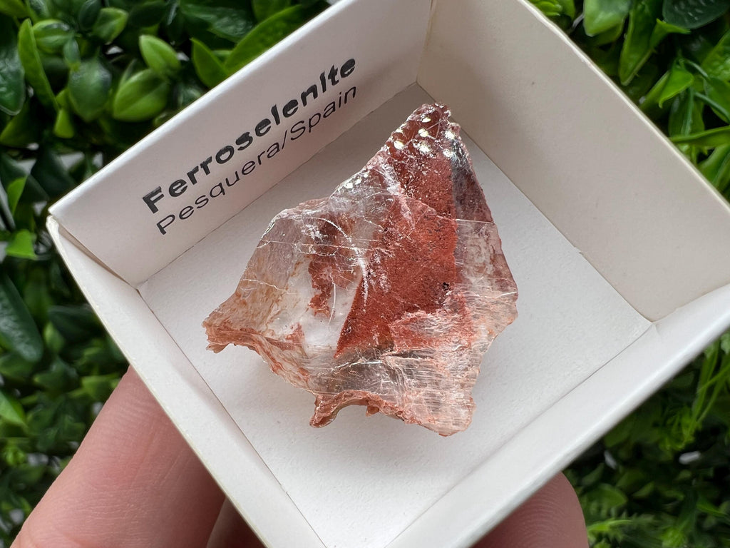 Stunning,rare Ferroselenite from La Pesquera, Cuenca,Castile-La Mancha,Spain,Mineral,Specimen,Ferroselenite Crystal,Ferroselenite Mineral