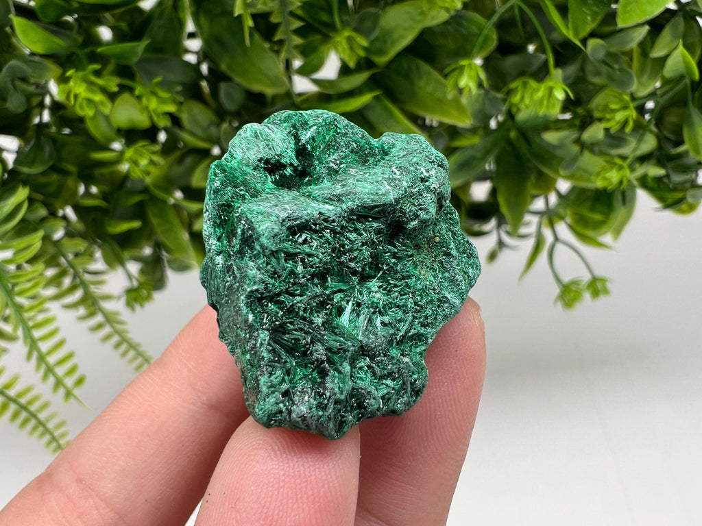Malachite Crystal from Congo,Minerals,Crystals from Congo,Green Malachite, Malachite,Natural Malachite,Malachite Stone,Chakra, Specimens