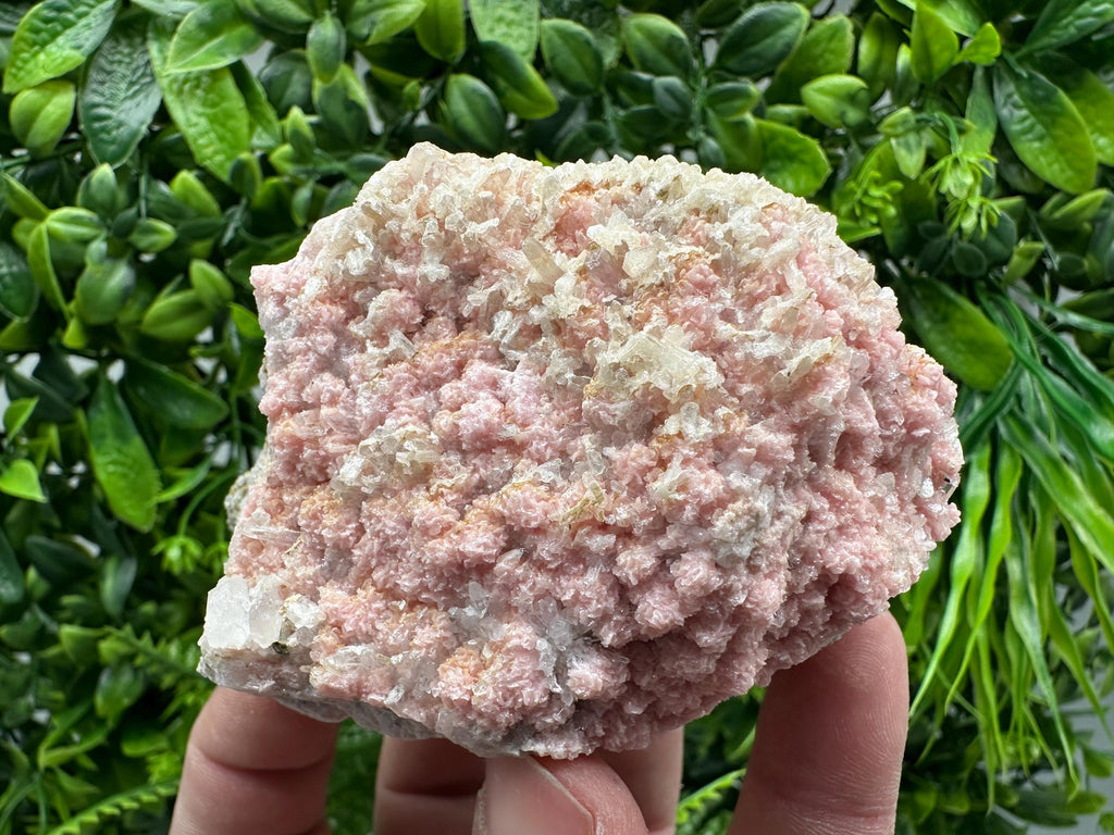 Rhodochrosite on Quartz, Starnica Mine, Bulgaria