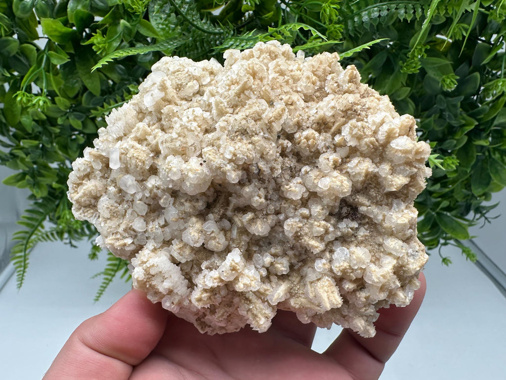 Fluorescent Mangano Calcite Specimen: Rhodopes Bulgaria Mineral Decor
