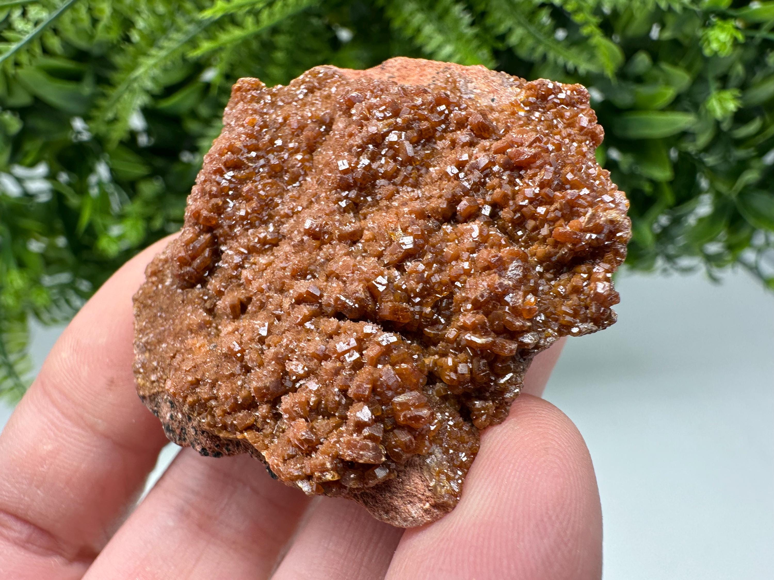 Red Vanadinite on Matrix from Marocco,crystal minerals Speciment cluster Vanadinite crystal Vanadinite Geology Vanadinite cluster minerals