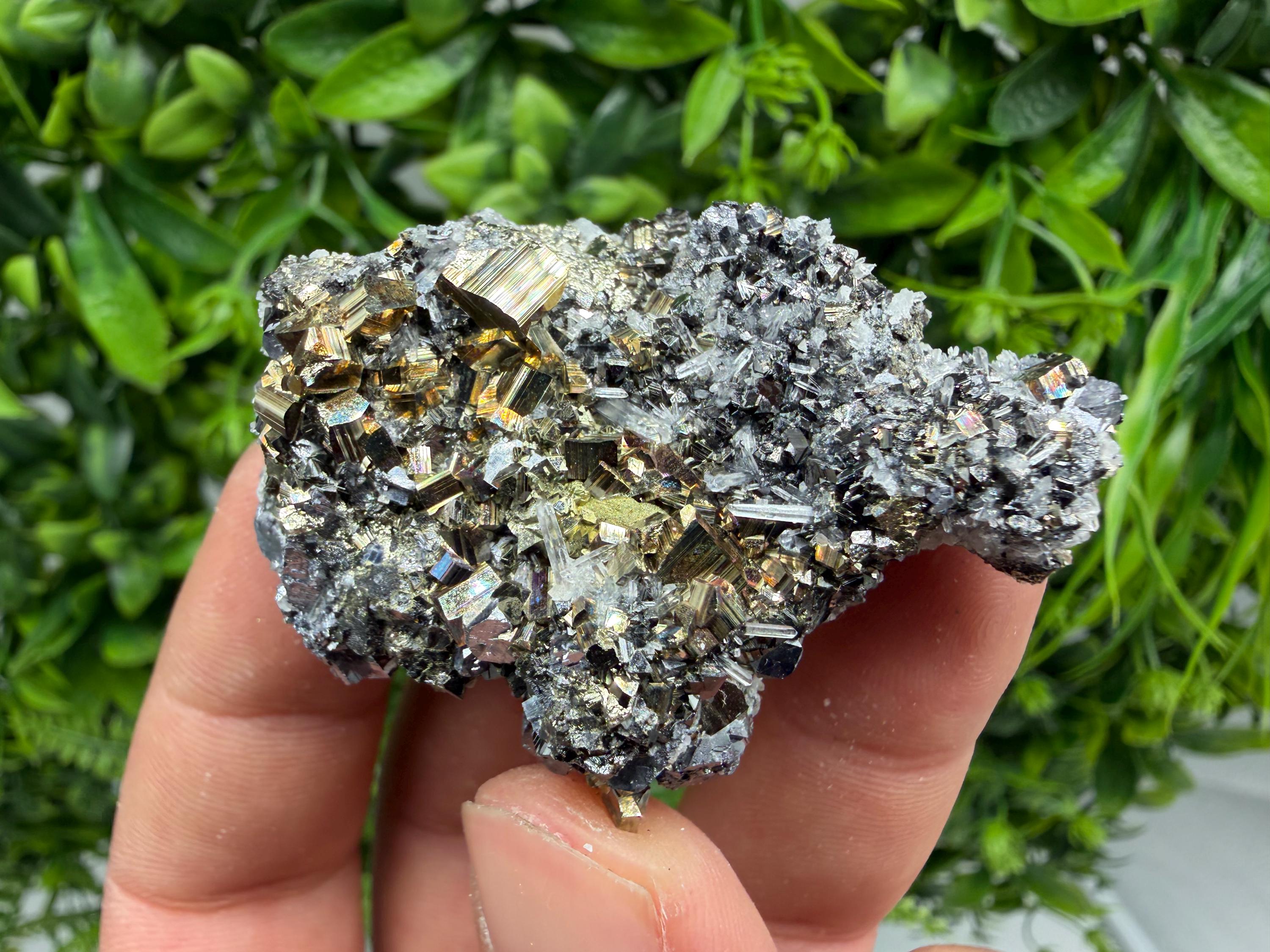 Pyrite Sphalerite Quartz  Mineral Specimen, Krushev dol Mine