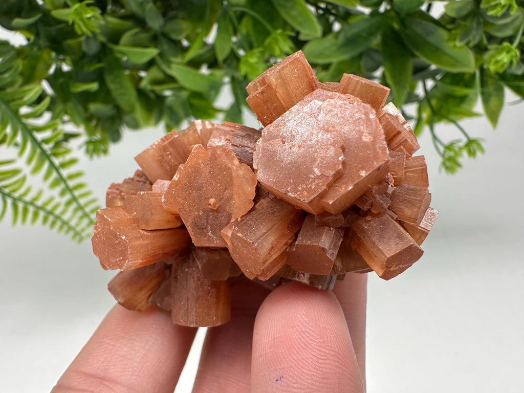 Aragonite Sputnik Cluster: Raw Moroccan Crystal Stone, Home Decor