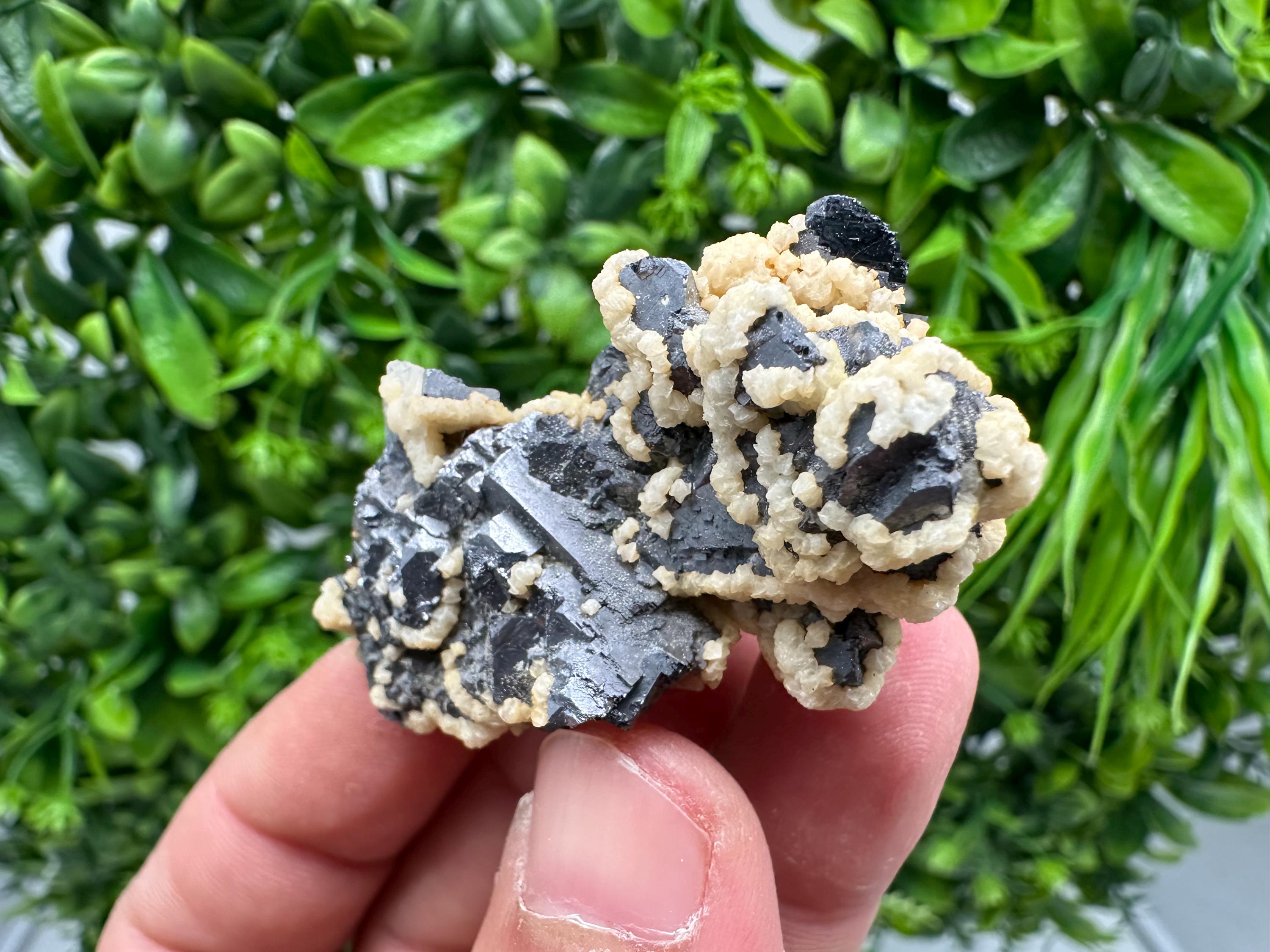 Skeletal Galena with Siderite and Sphalerite: Krushev dol Mine, Bulgaria