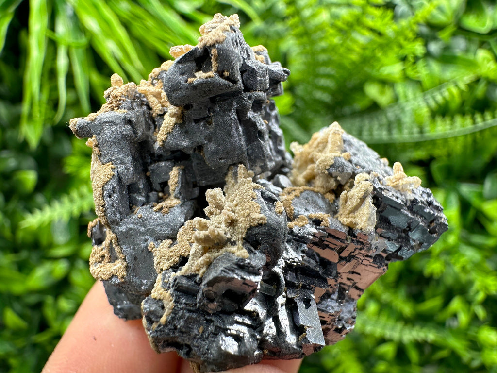 Shiny Galena Cluster with Siderite and Quartz, Bulgaria Mineral Specimen