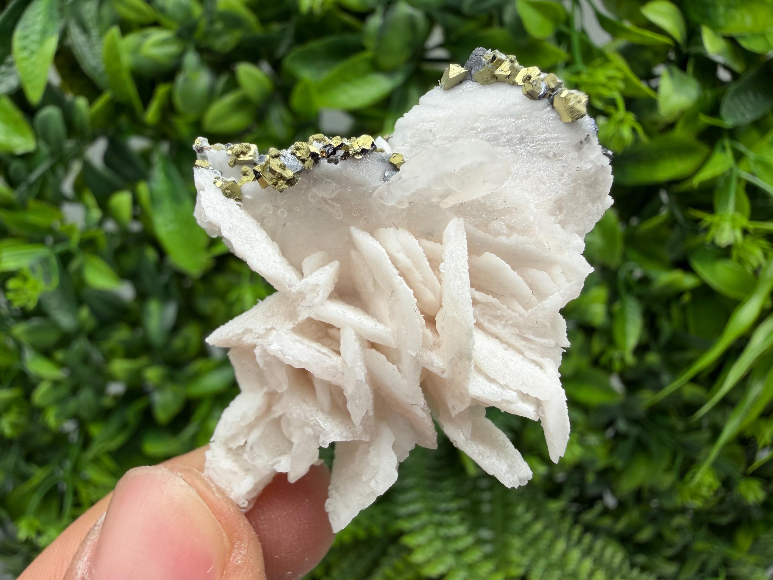 Mangano Calcite with Galena, Borieva Mine, Bulgaria