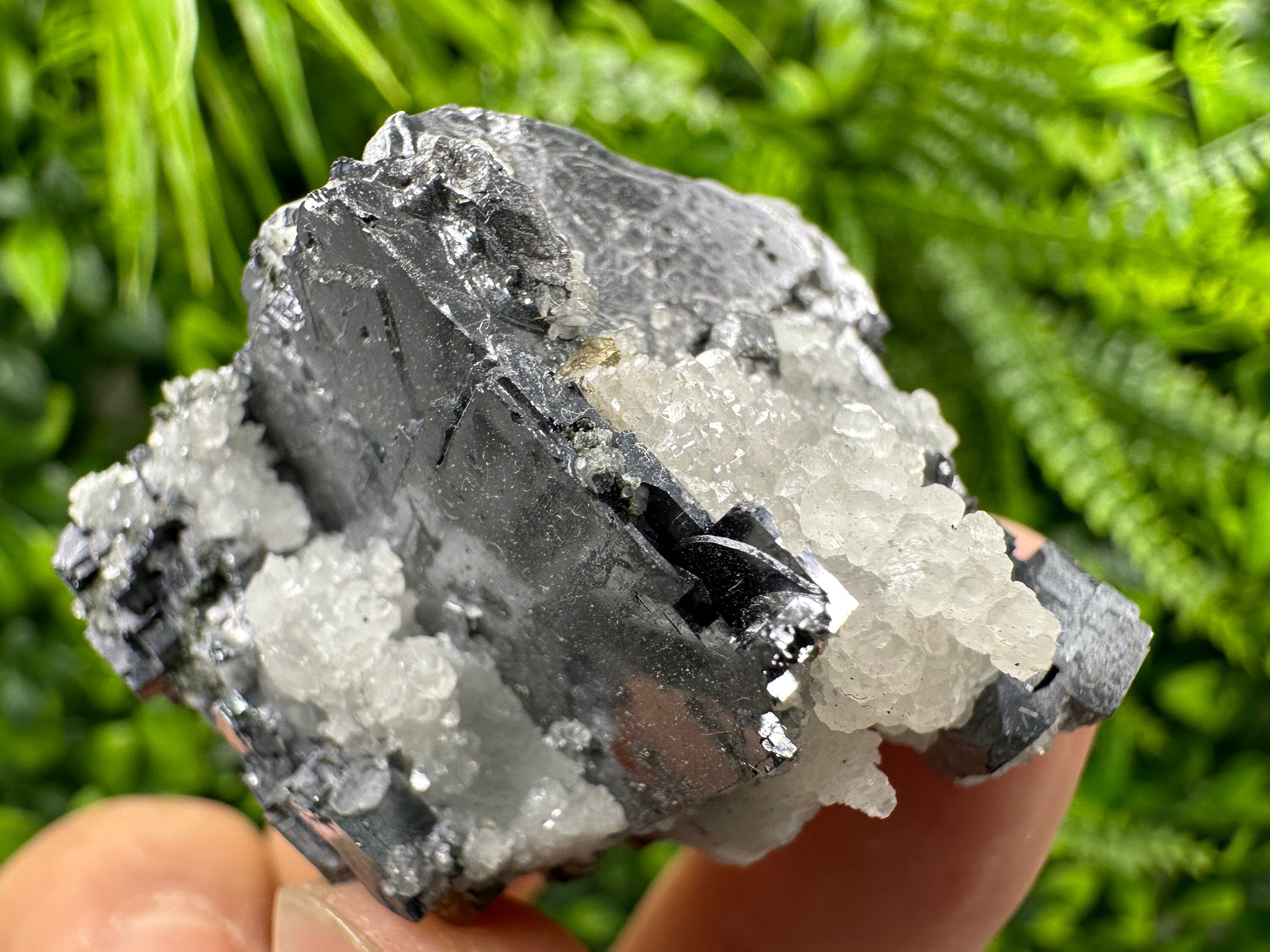 Galena with Calcite: Natural Mineral Specimen, Borieva Mine, Bulgaria