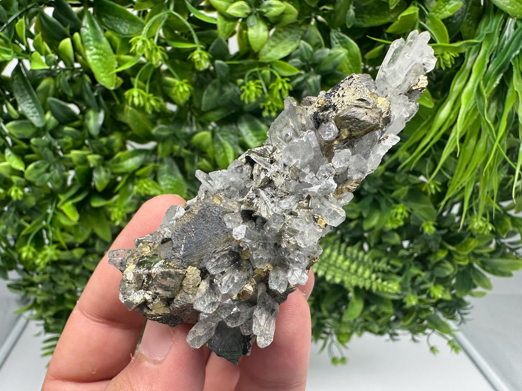 Stunning Chalcopyrite on Quartz,Chlorite From Djurcovo mine,Laki,Bulgaria,Natural,Collection mineral specimen,Home decor stone,Collection