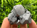 Galena with Sphalerite, Borieva Mine Mineral Specimen