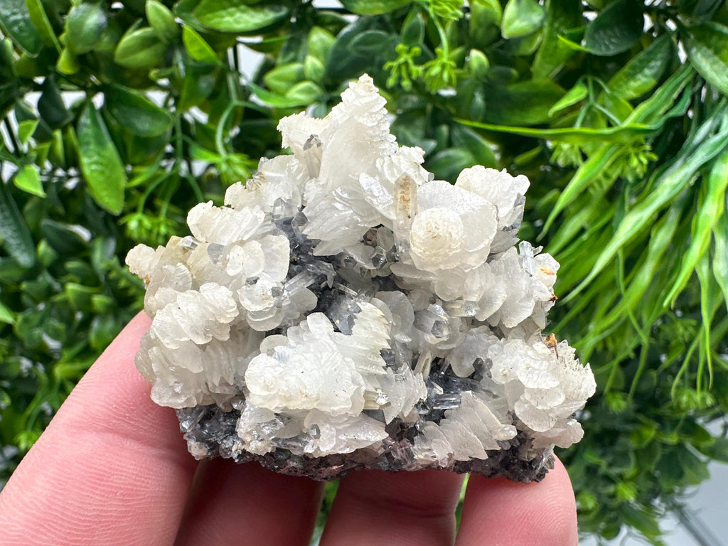Quartz with Calcite and Chlorite: Borieva Mine Crystal Souvenir