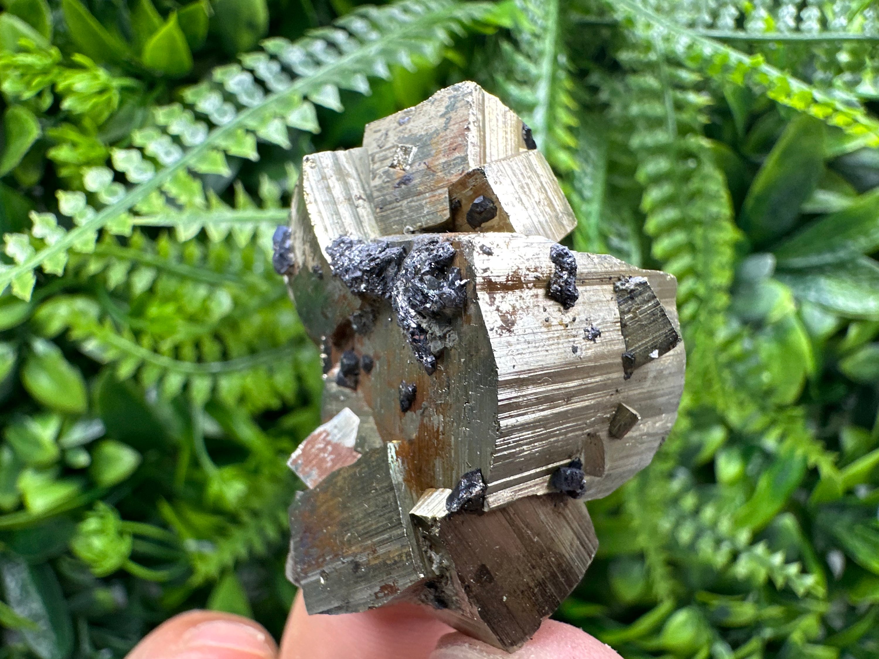 Natural Pyrite Crystal: Shiny Fool's Gold Mineral Souvenir