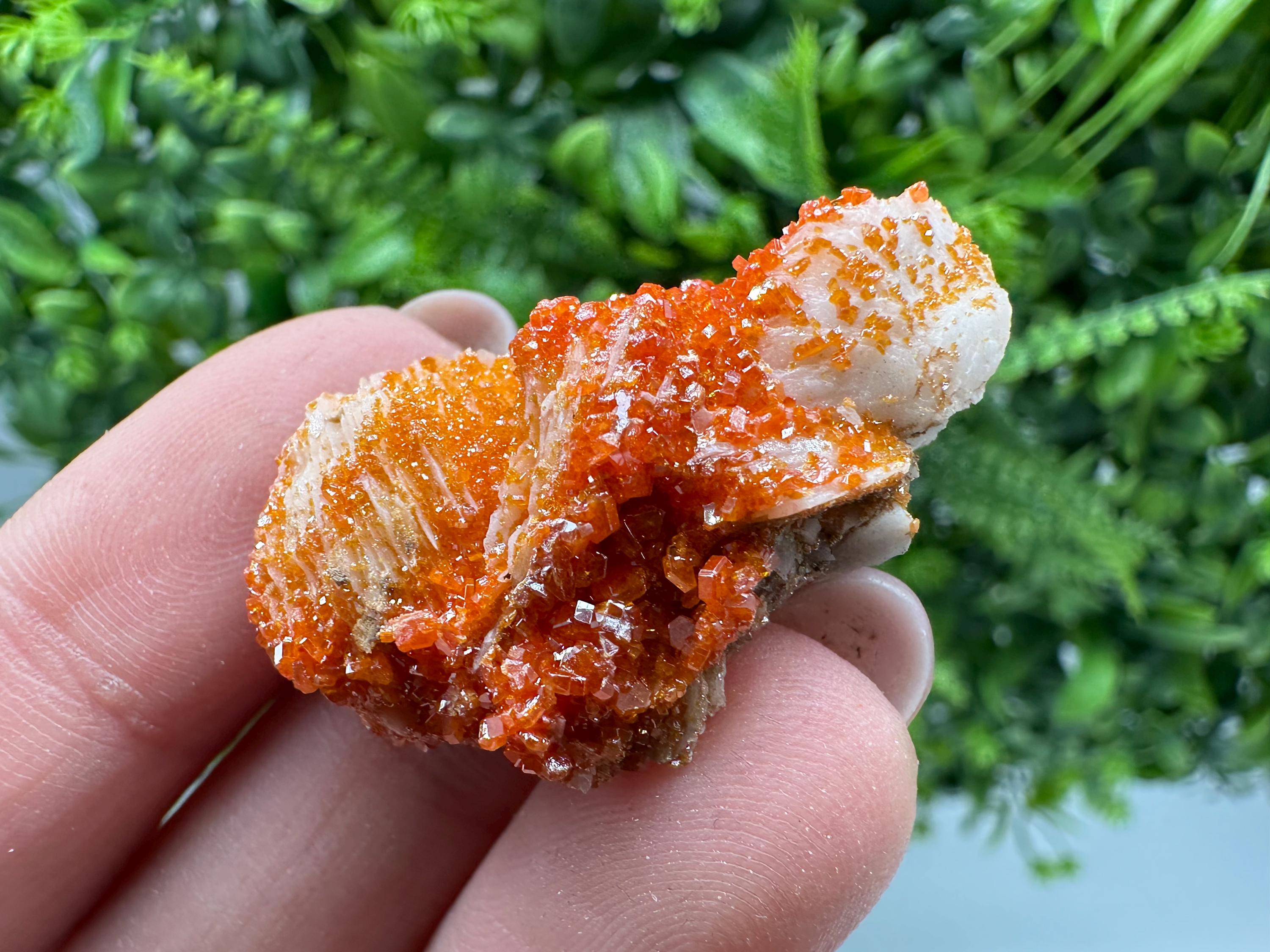 Red Vanadinite on Barite, Moroccan Crystal Specimen