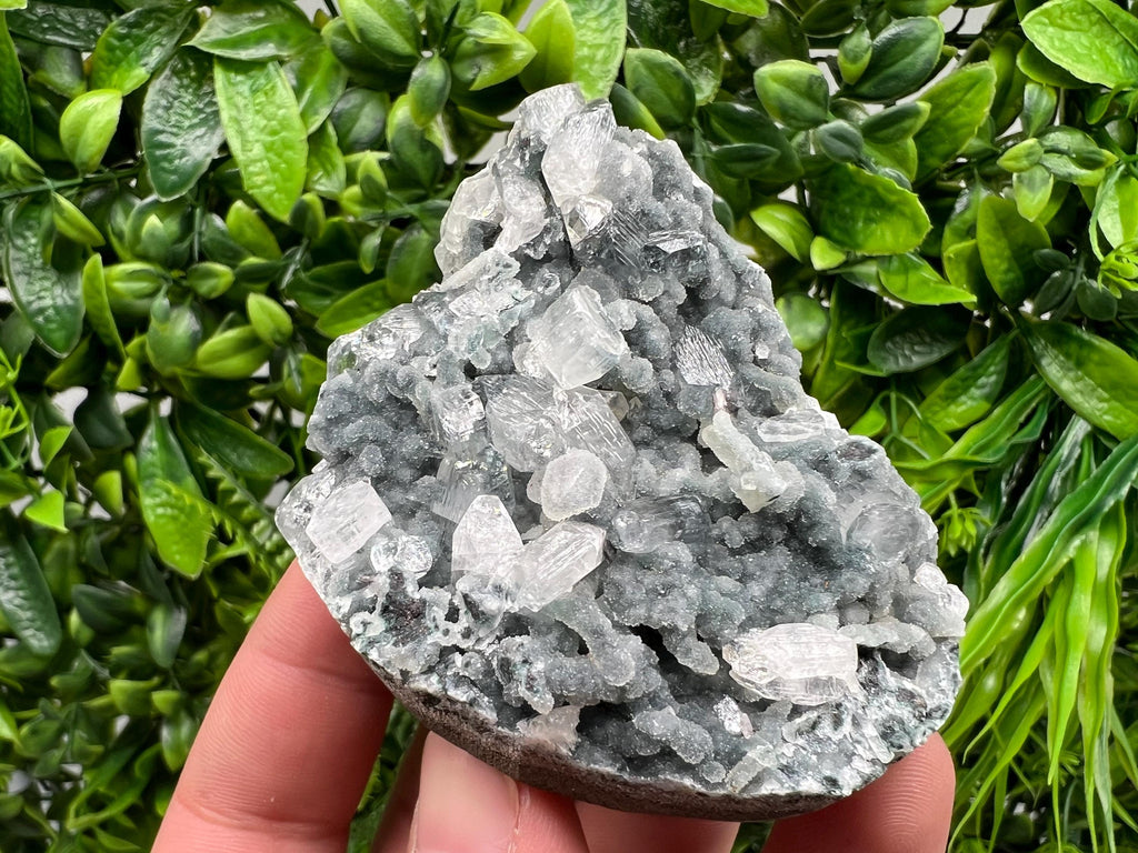 STUNNING Transparent Apophyllite on Chalcedony,natural, collection minerals specimen,India Minerals,Crystal, Stone Mineral Specimens India