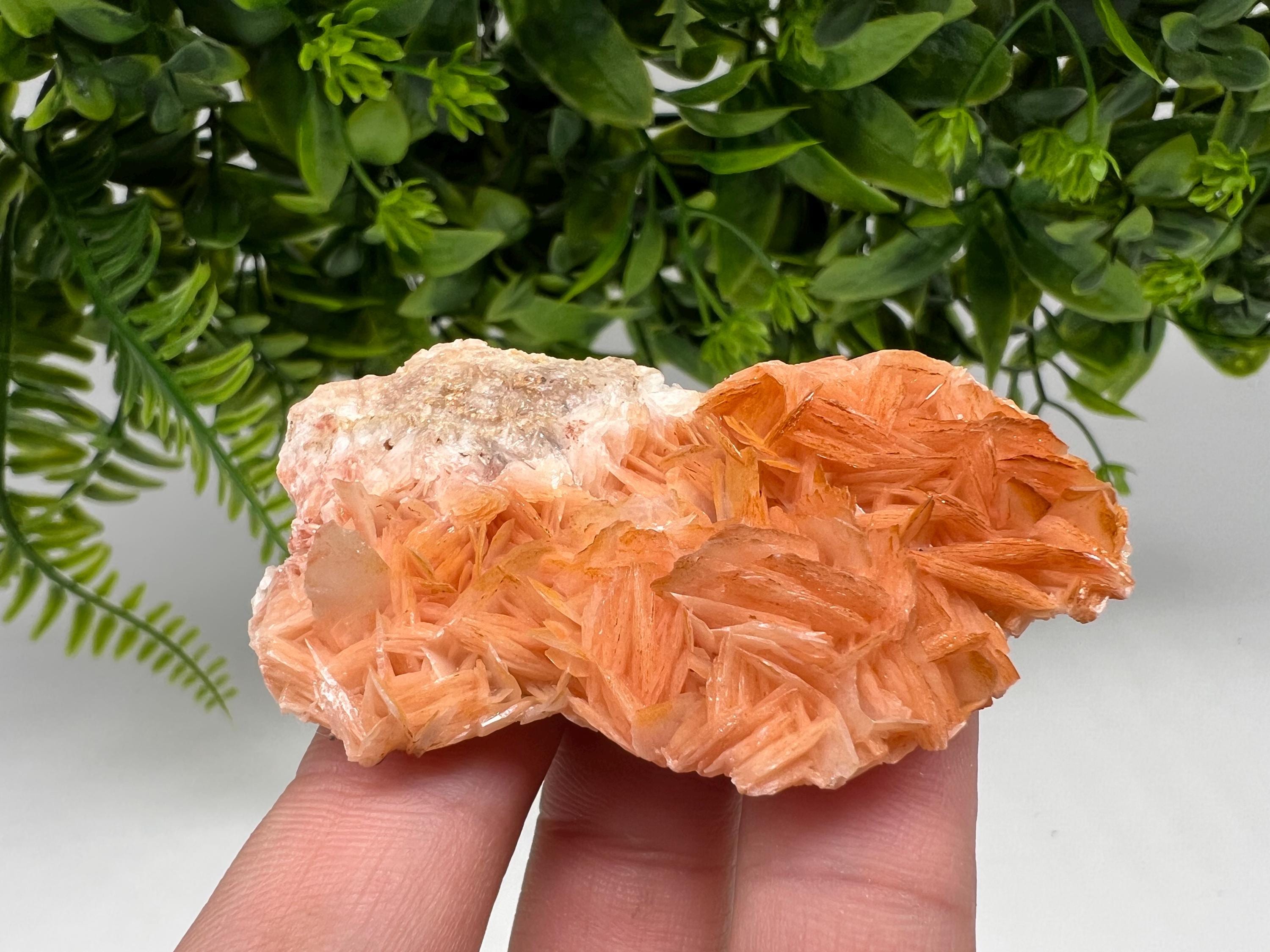 Wonderful Baryte with Cerussite on Galena from Morocco,Crystal, Mineral,Specimen,Cluster,Crystals,Barite Crystal,Cerussite Crystal,Specimen