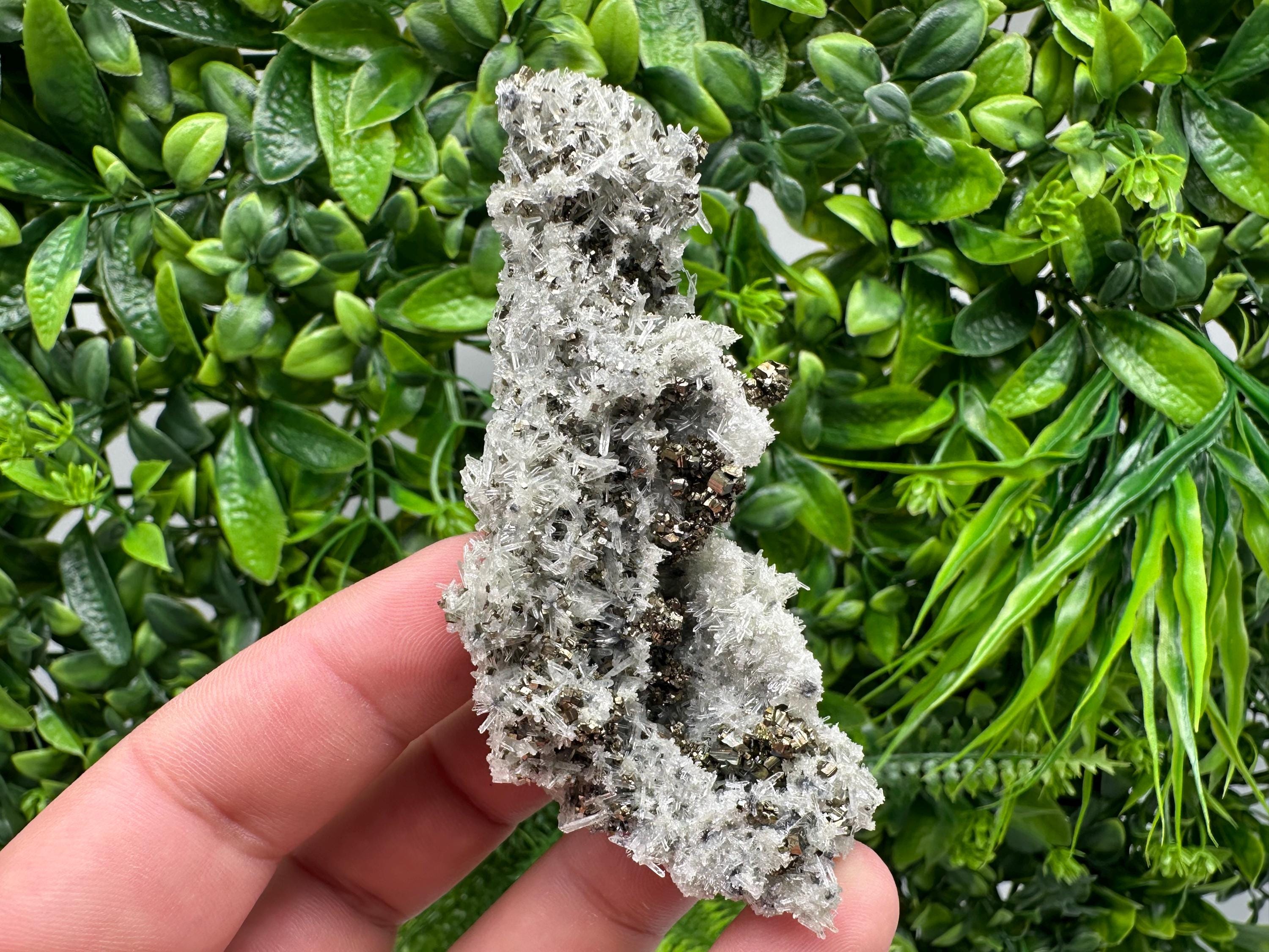 Pyrite on Needle Quartz, Madan Bulgaria, Collection Mineral Specimen