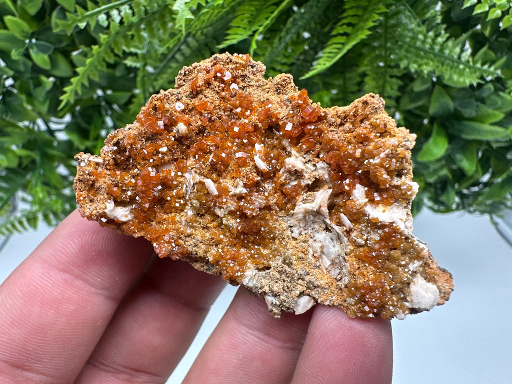 Red Vanadinite on Barite, Morocco Crystal Mineral Specimen