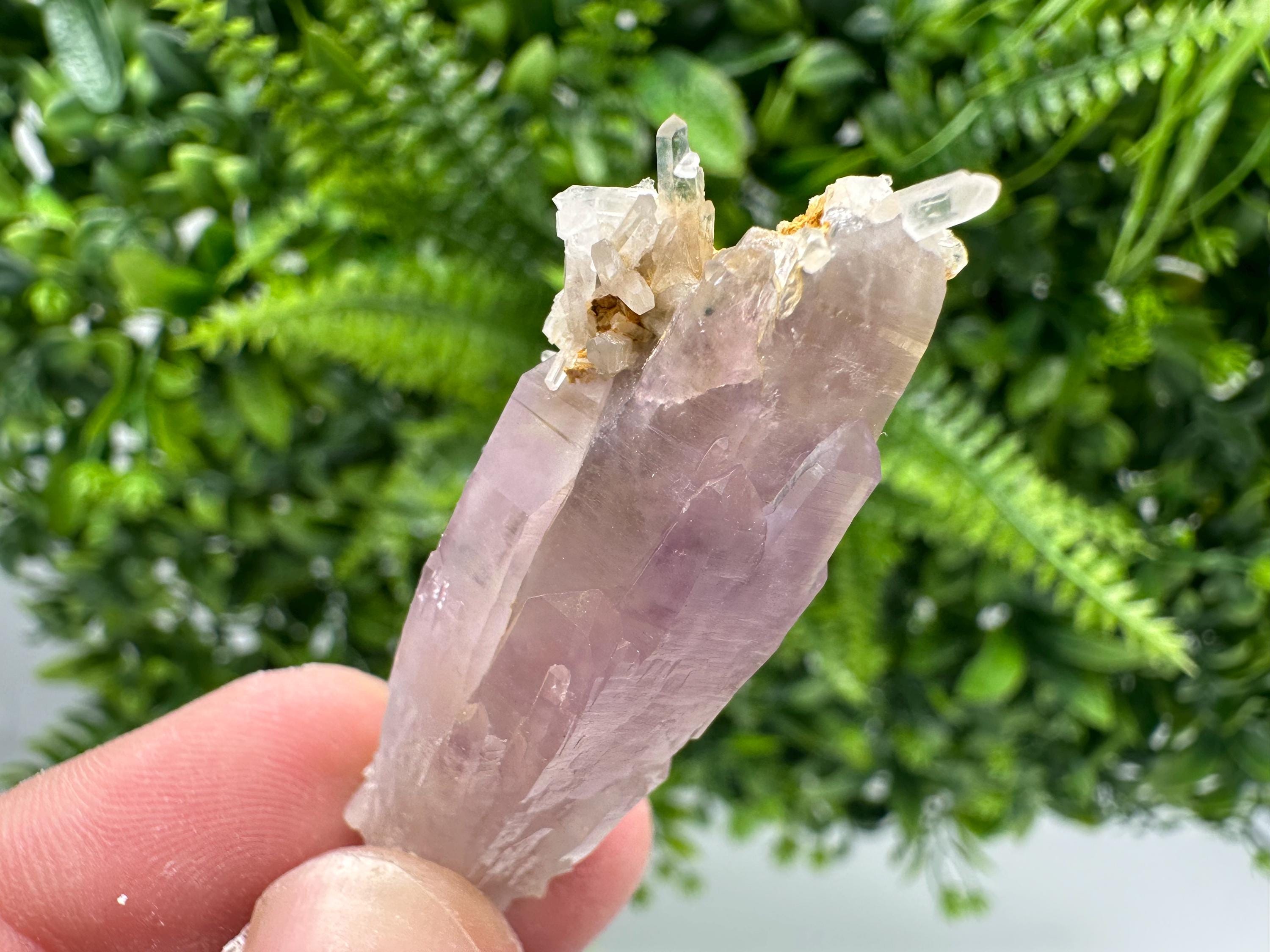 Amethyst Phantom Crystal with Cerusite, Madjarovo Mine, Bulgaria