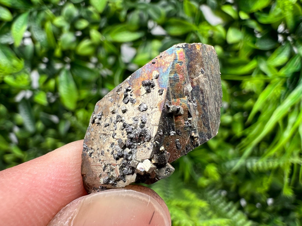 Mini Rare crystallisation Pyrite,Borieva mine,Bulgaria,floating Pyrite,golden Pyrite,Pyrite cluster,mini Collection specimen,Rainbow Pyrite