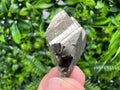 Rare Pyrite Crystal Specimen: Borieva Mine, Bulgaria