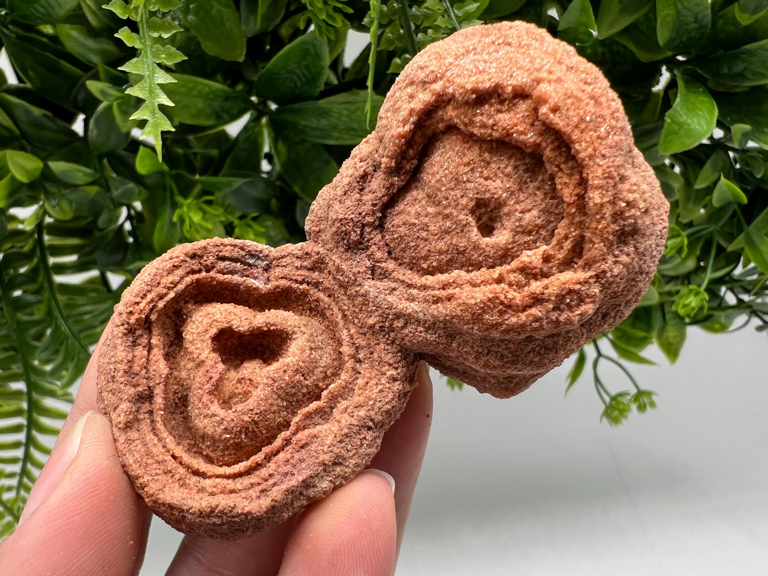 Raw Stromatolite Fossil Specimen, Moroccan Grounding Stone
