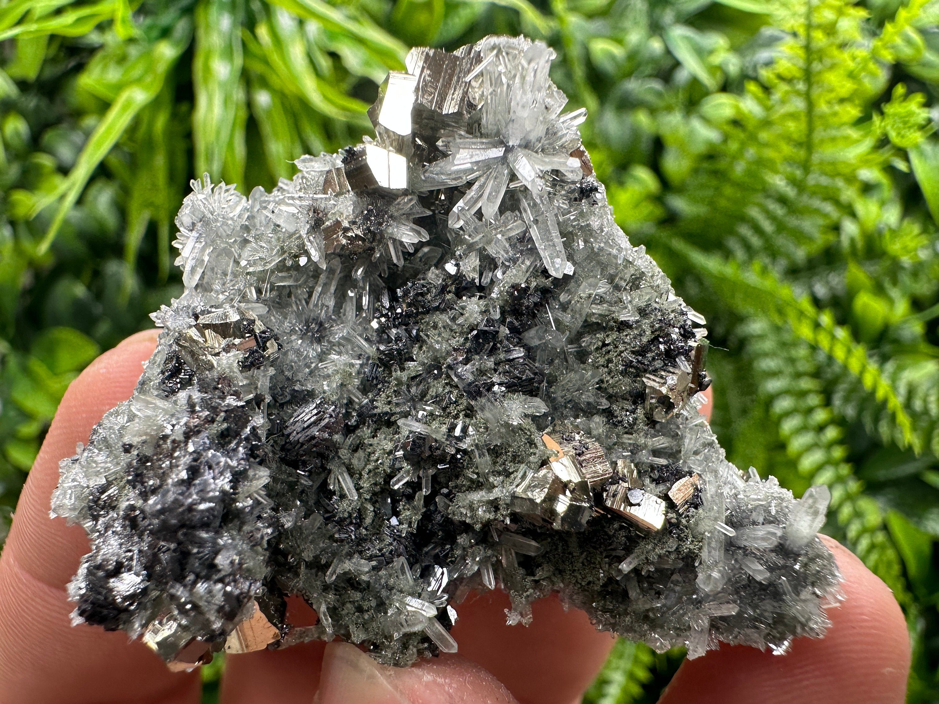 Pyrite Sphalerite Galena on Quartz: Bulgaria Borieva Mine Crystal Cluster