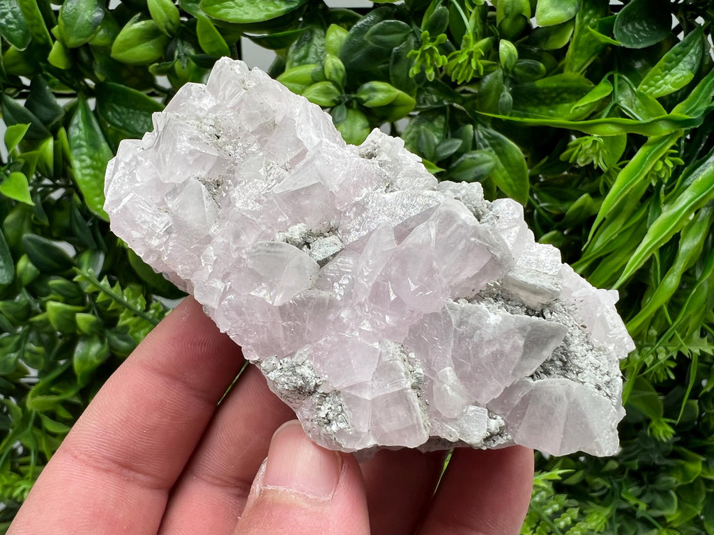 UV Reactive Mangano Calcite Crystal: Androvo Mine, Bulgaria