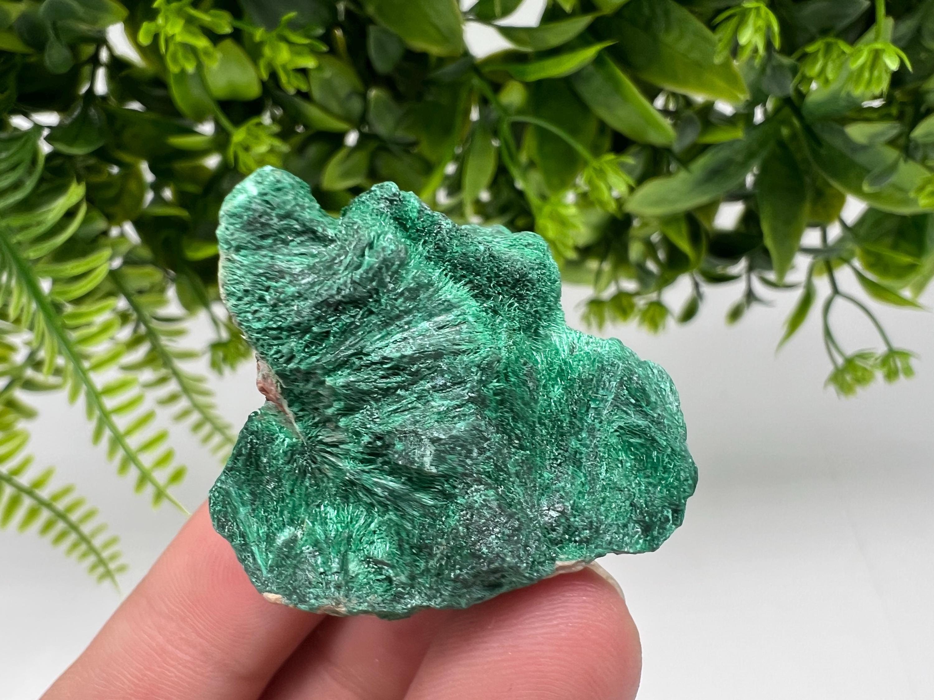 Malachite Crystal from Congo,Minerals,Crystals from Congo,Green Malachite, Malachite,Natural Malachite,Malachite Stone,Chakra, Specimens