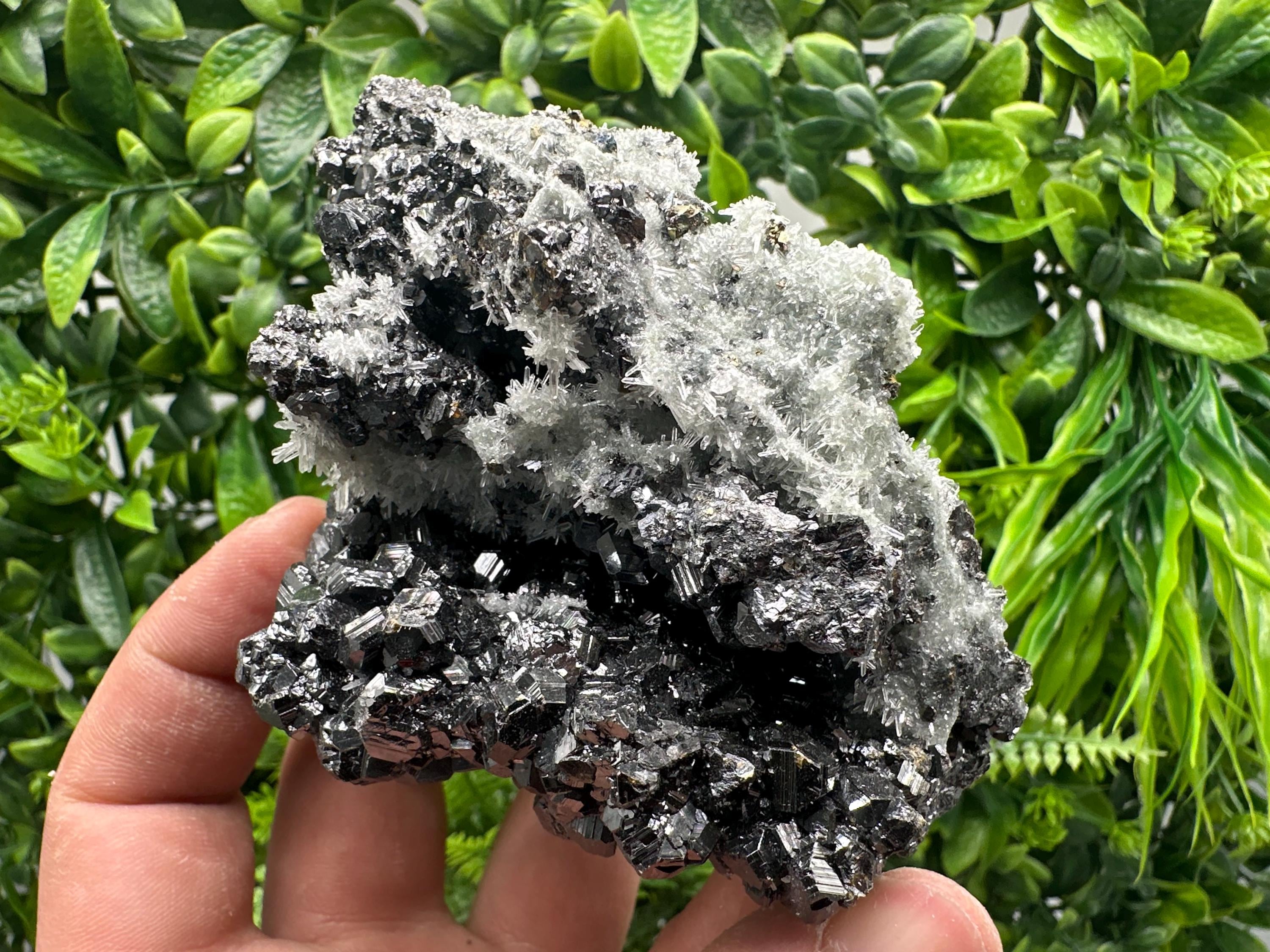 Sphalerite on Green Quartz, Borieva Mine Mineral Specimen
