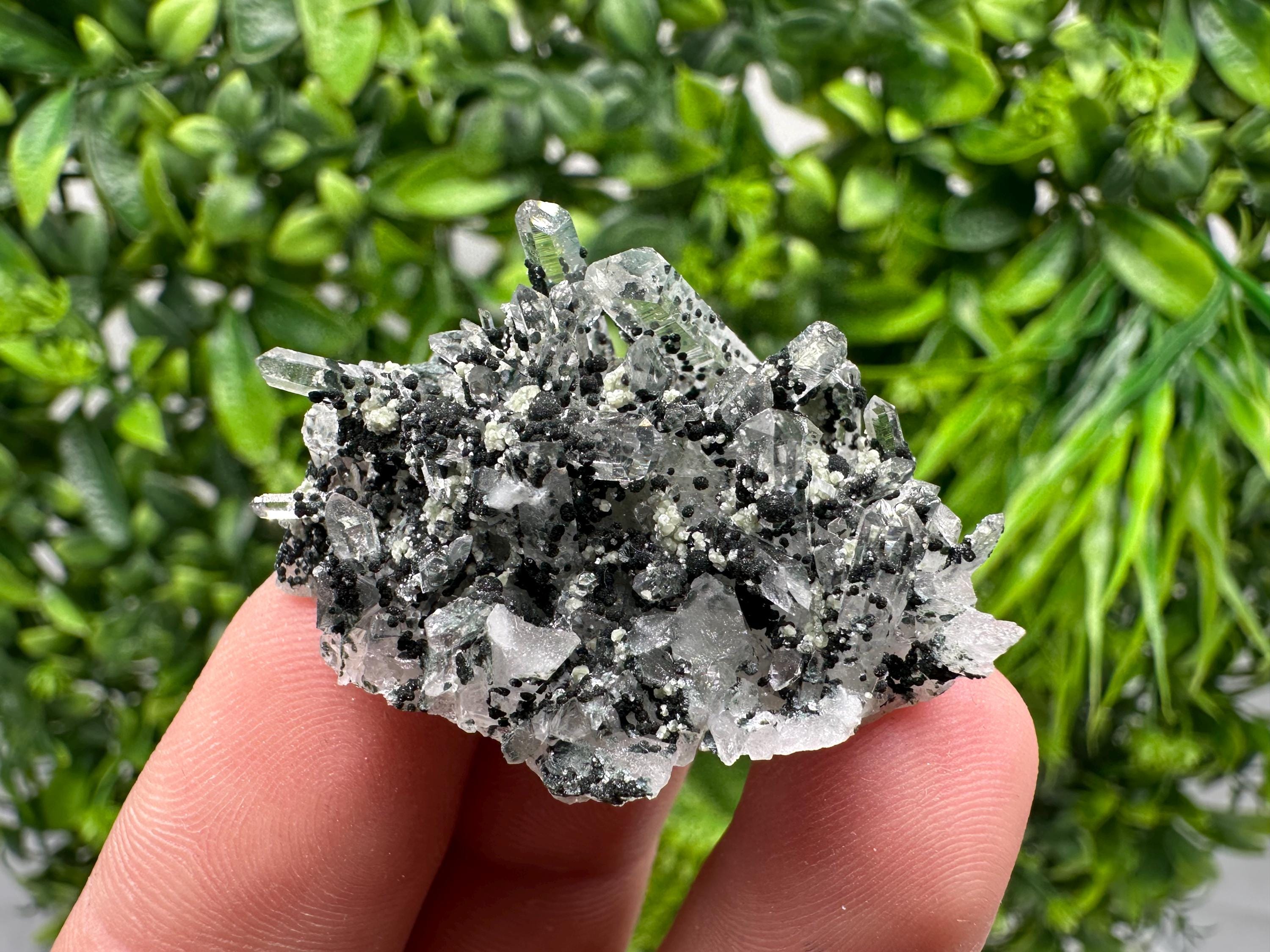 Chlorite Quartz Mineral Specimen, Borieva Mine, Bulgaria